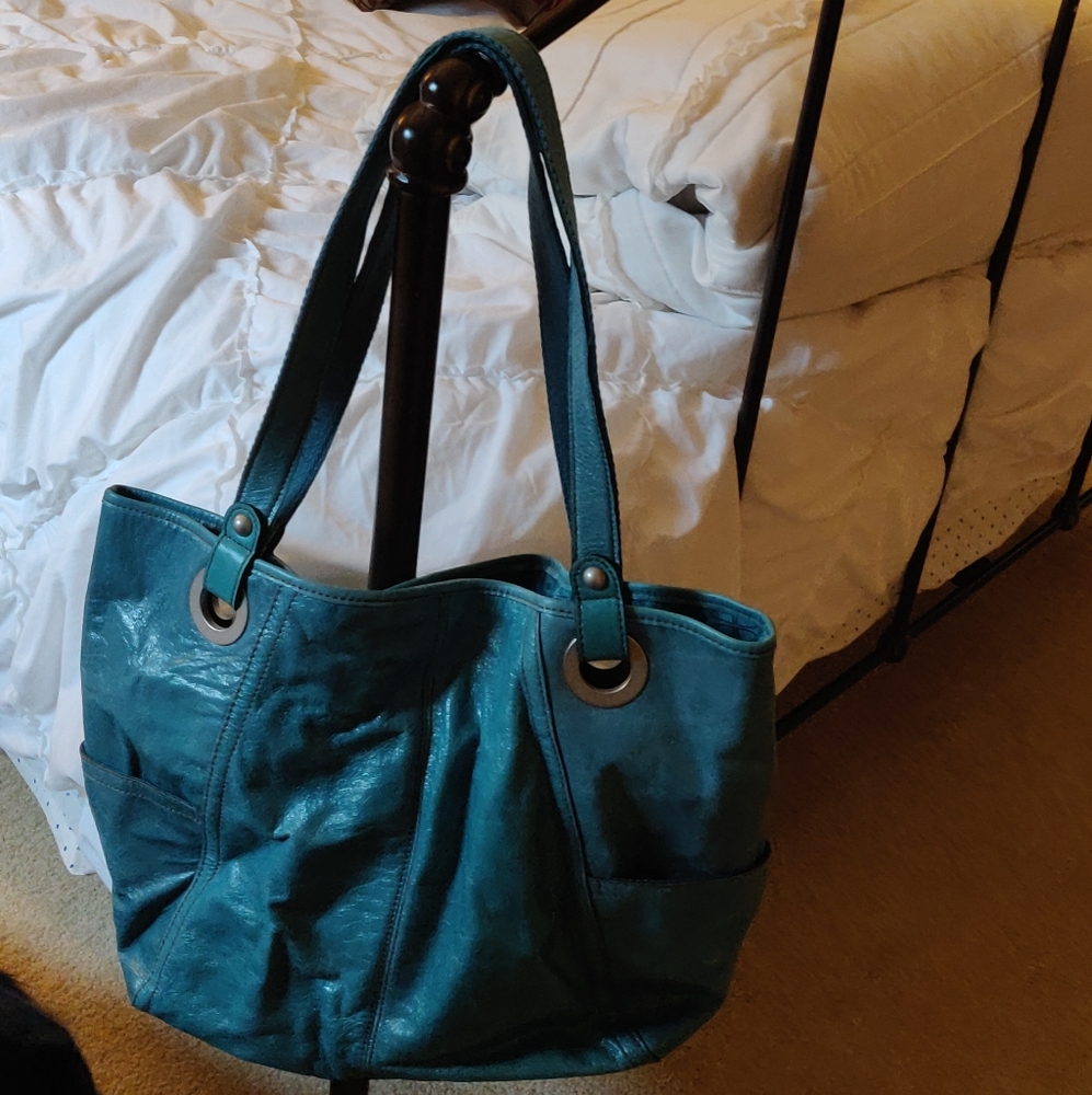 Fossil purse